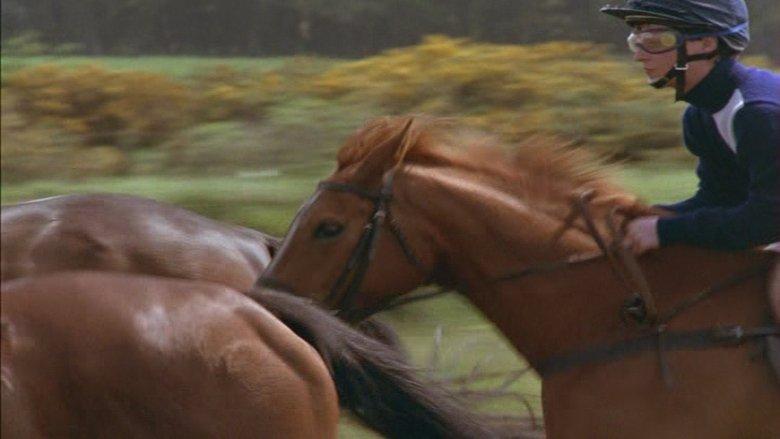Shergar image