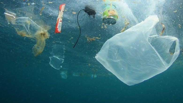 A Plastic Ocean image