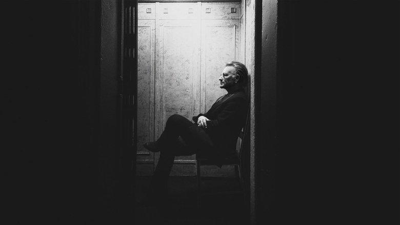 Bono: Stories of Surrender image