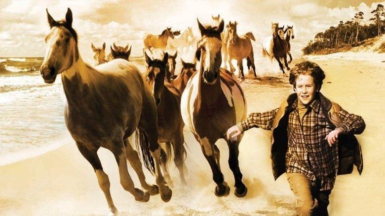 Touching Wild Horses image