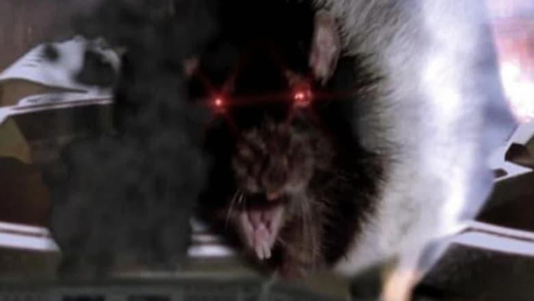 Rat Scratch Fever image