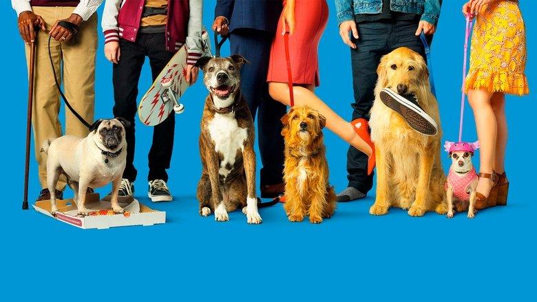 Dog Days image