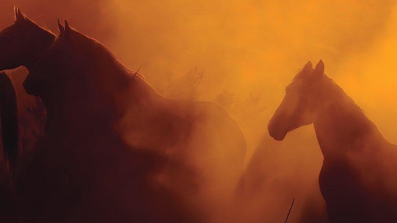 Wild Beauty: Mustang Spirit of the West image