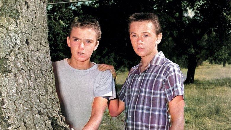 The Hardy Boys image