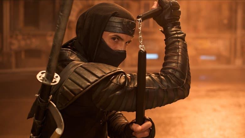 Ninja image