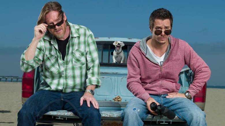Terriers image
