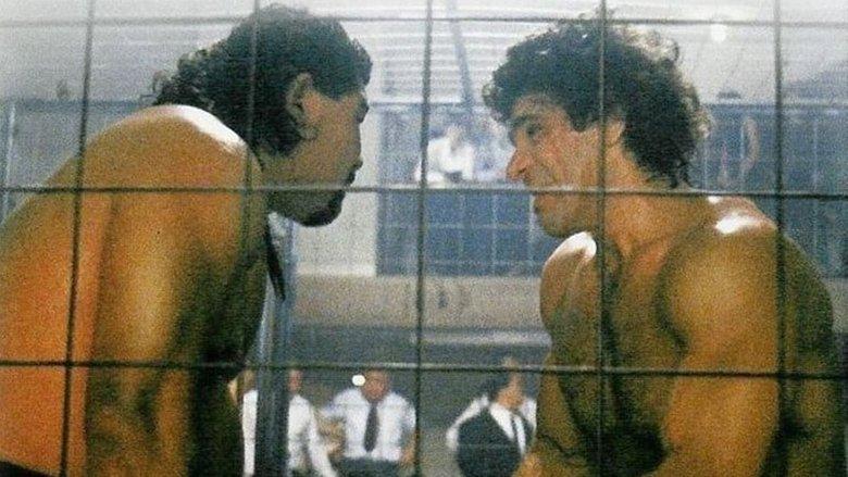 Cage image