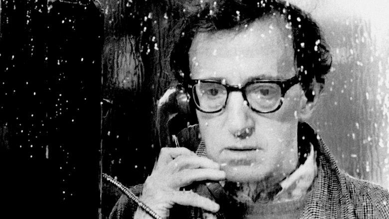 Woody Allen: A Life in Film image
