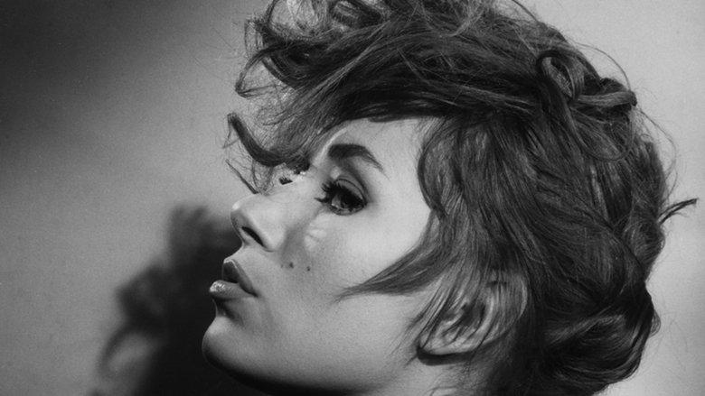 Girls of the Night image