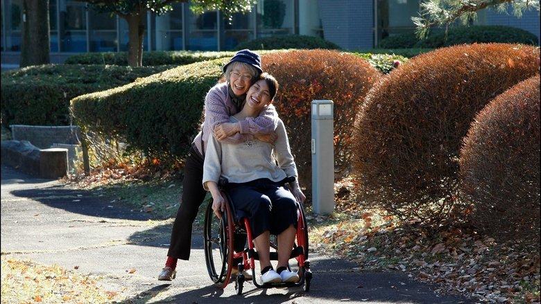 Mango and the Red Wheelchair image