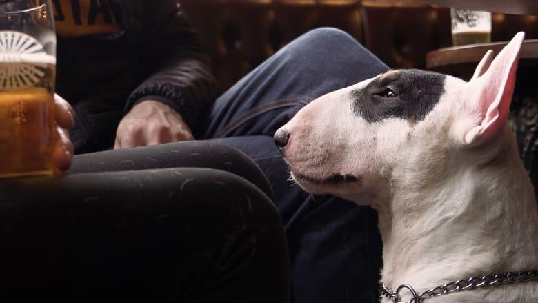 We Don't Deserve Dogs image