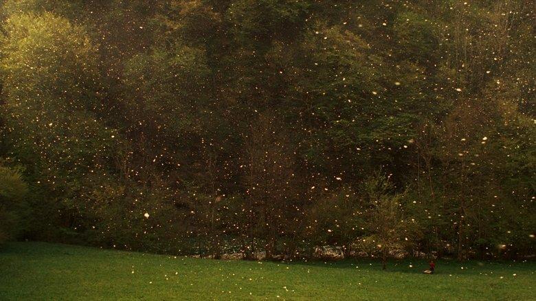 Stories from the Chestnut Woods image