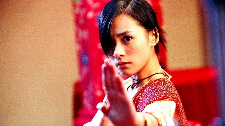 House of Fury image