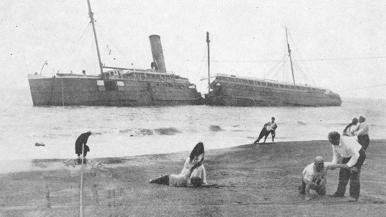 Shipwrecked image