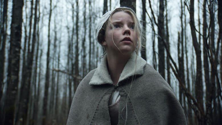 The Witch image