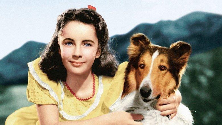 Courage of Lassie image