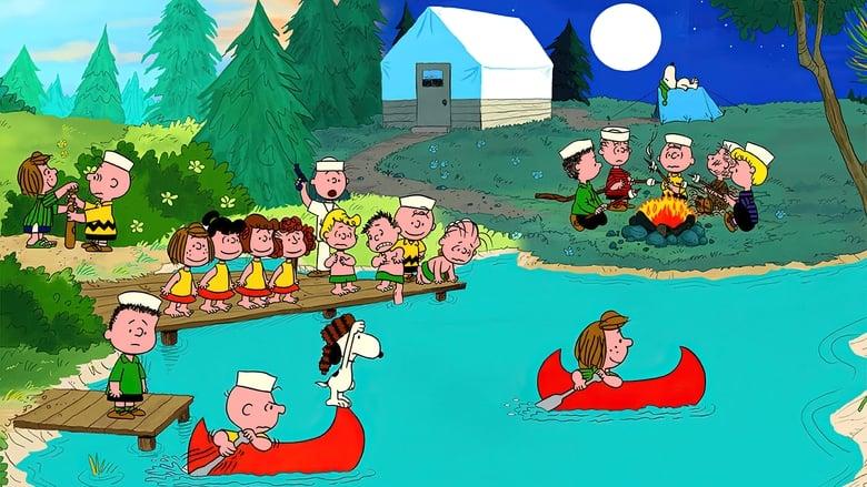 It Was a Short Summer, Charlie Brown image