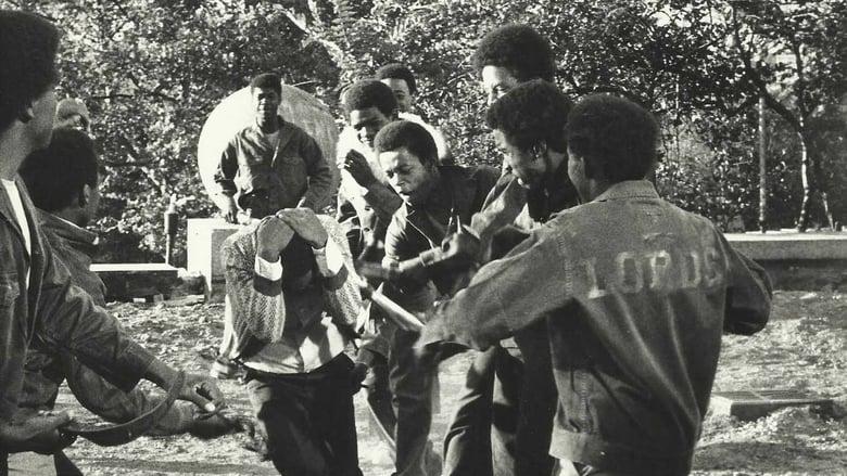 The Education of Sonny Carson image