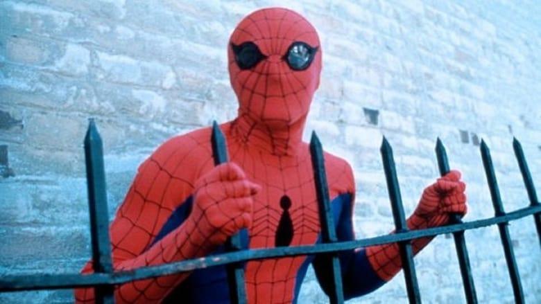 Spider-Man image