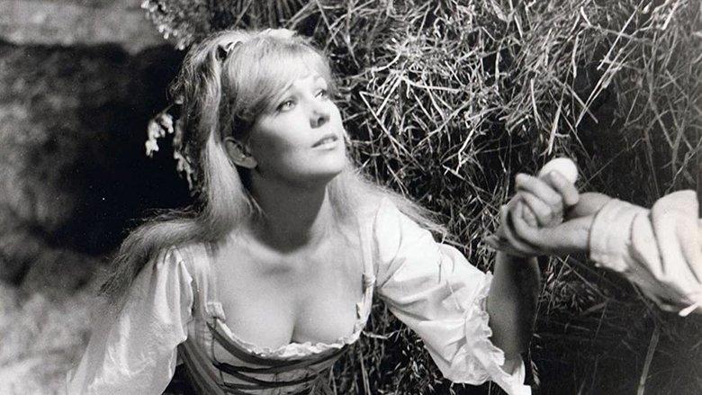 The Amorous Adventures of Moll Flanders image