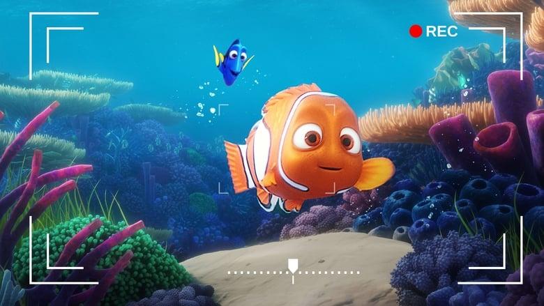 Dory's Reef Cam image