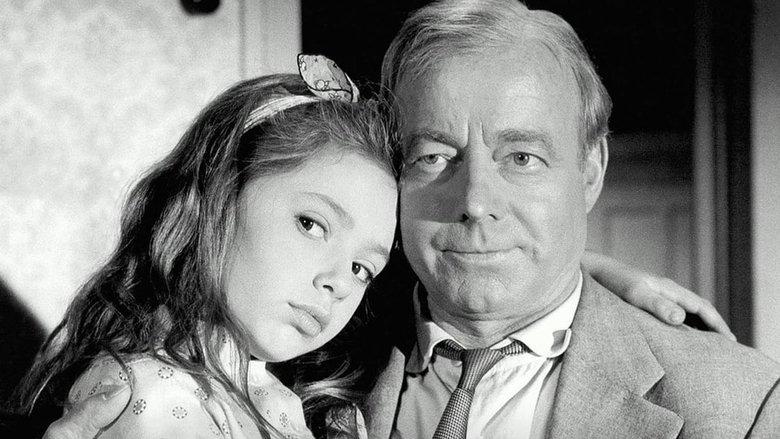 The Liar image