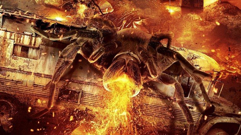 Arachnoquake image