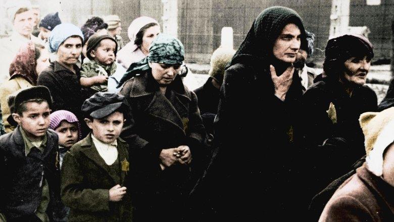Auschwitz Untold: In Colour image