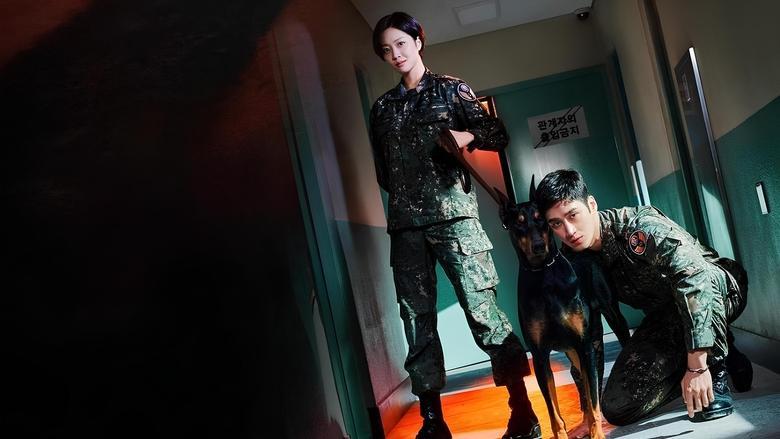 Military Prosecutor Doberman image