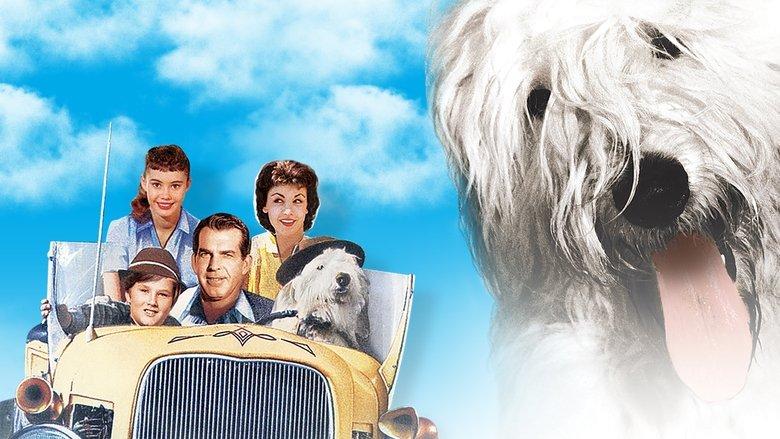 The Shaggy Dog image