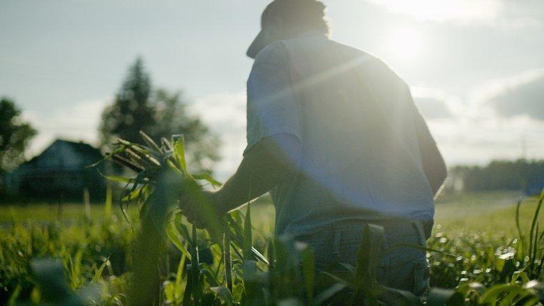 Wasted! The Story of Food Waste image