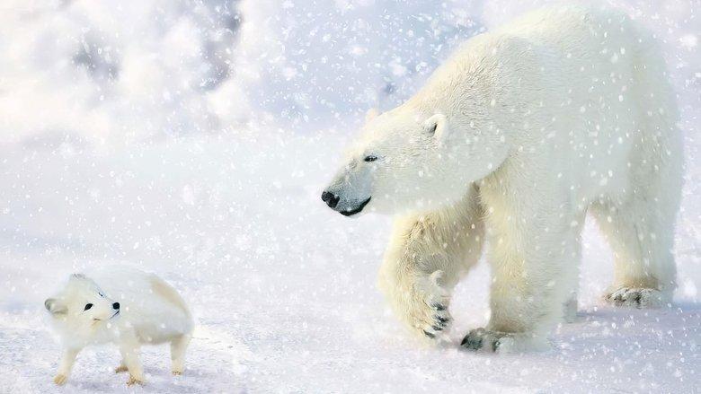 The Great Polar Bear Adventure image