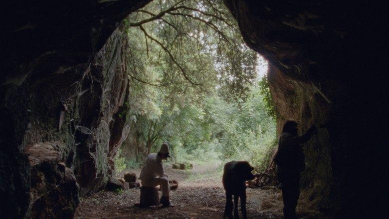 Lost and Beautiful image