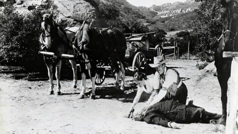 I Killed Wild Bill Hickok image