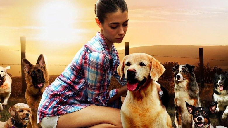 The Dog Lover image