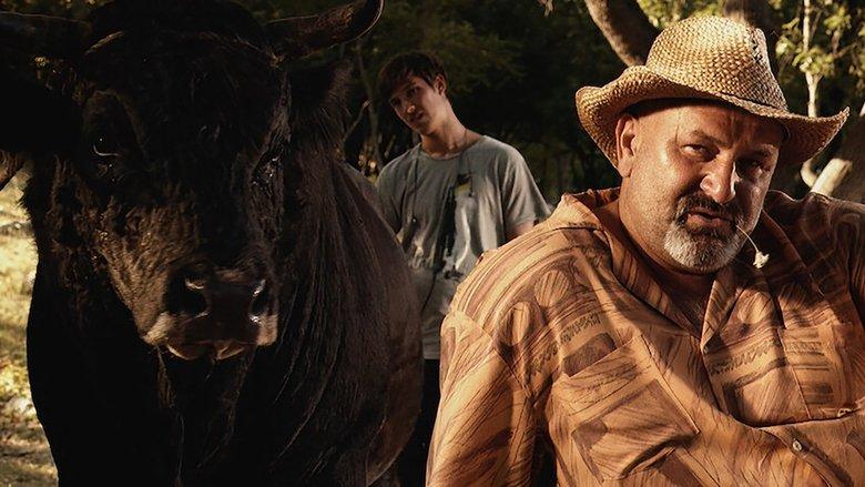 Sonja and the Bull image