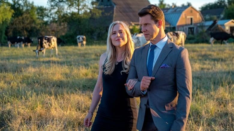Signed, Sealed, Delivered: Home Again image
