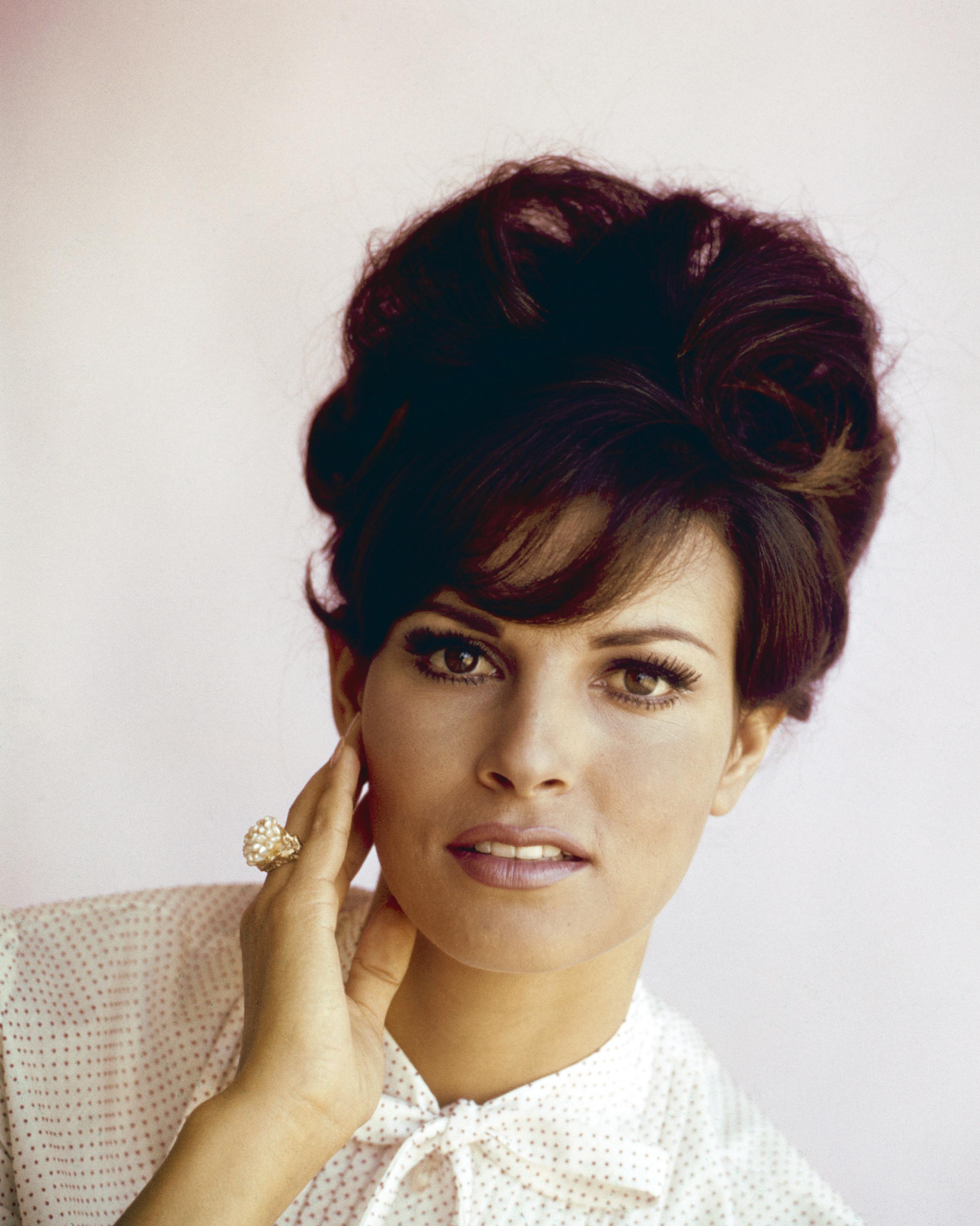 Raquel Welch image