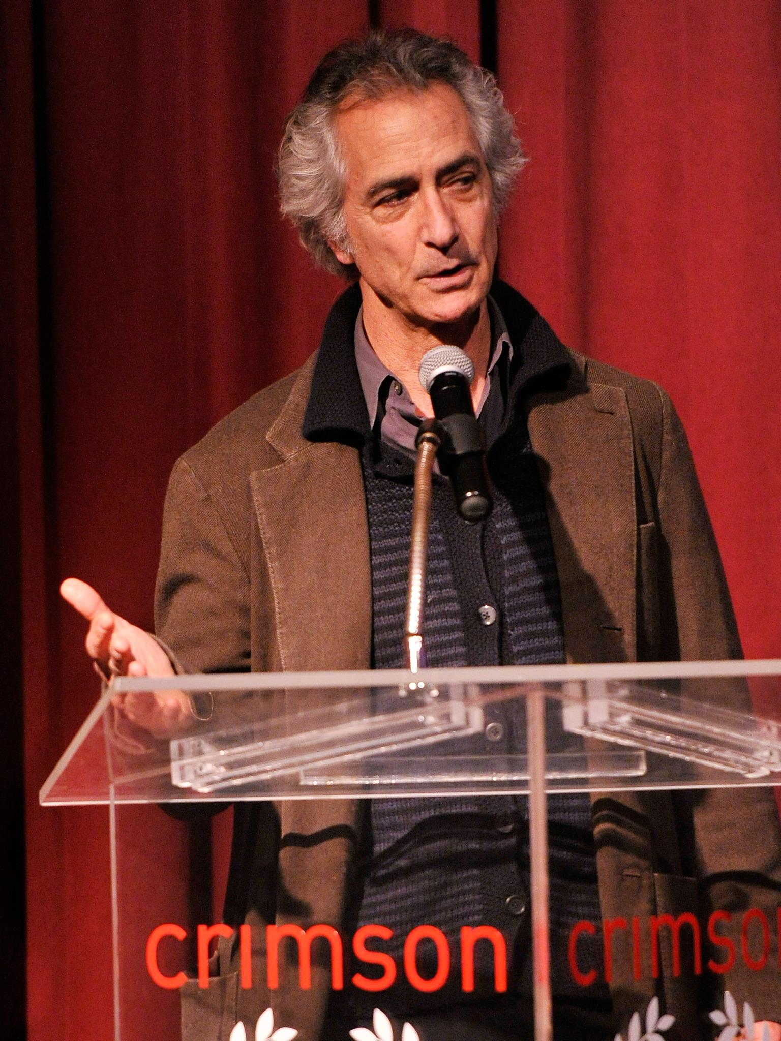 David Strathairn image