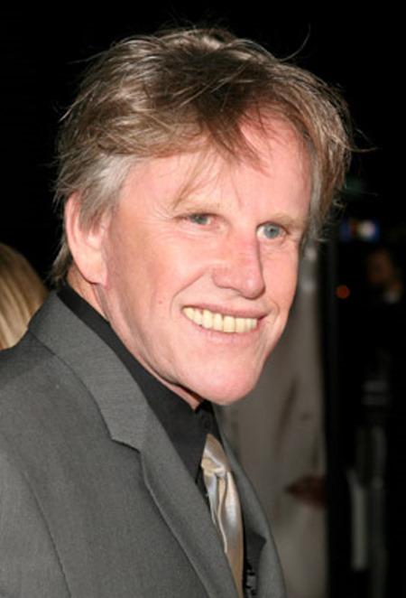 Gary Busey image