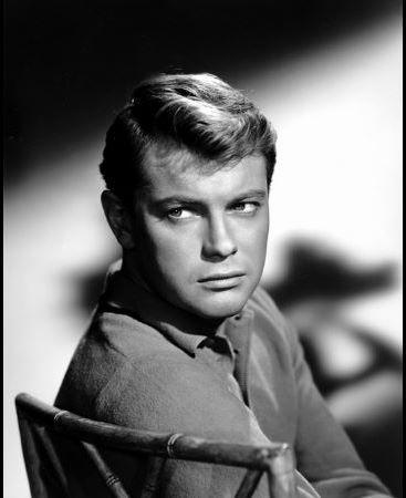 Troy Donahue image