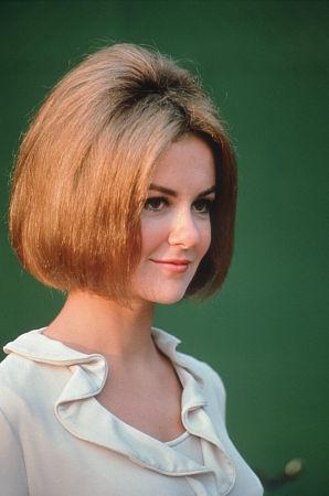 Shelley Fabares image