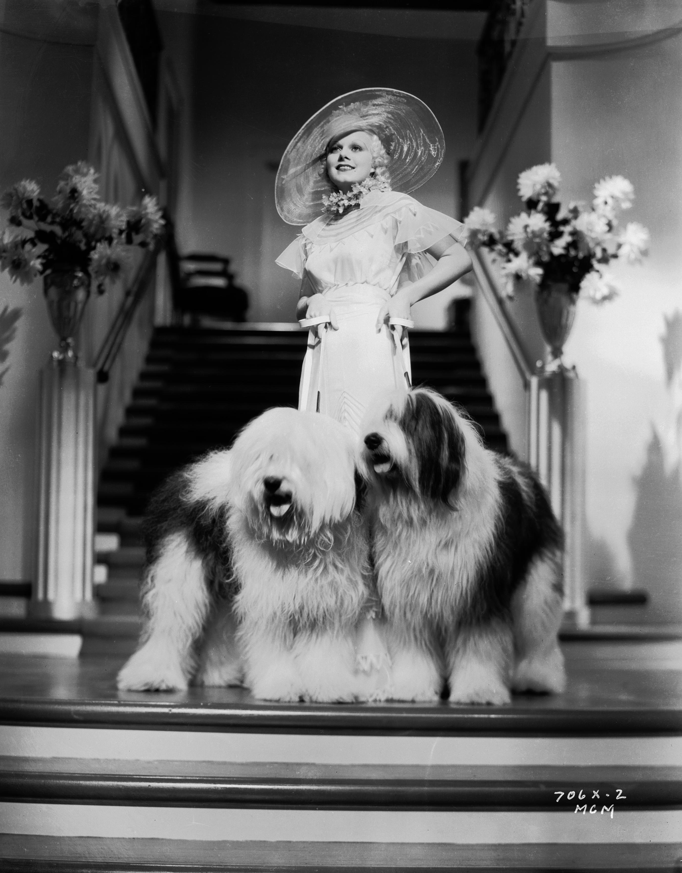 Jean Harlow image