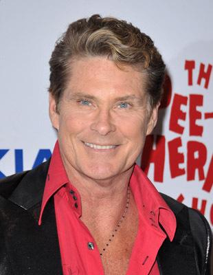 David Hasselhoff image