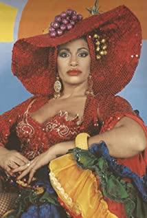 Vanessa del Rio image