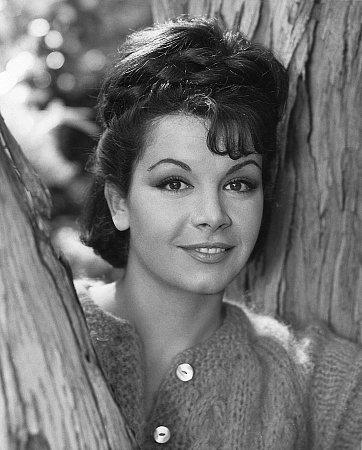 Annette Funicello image