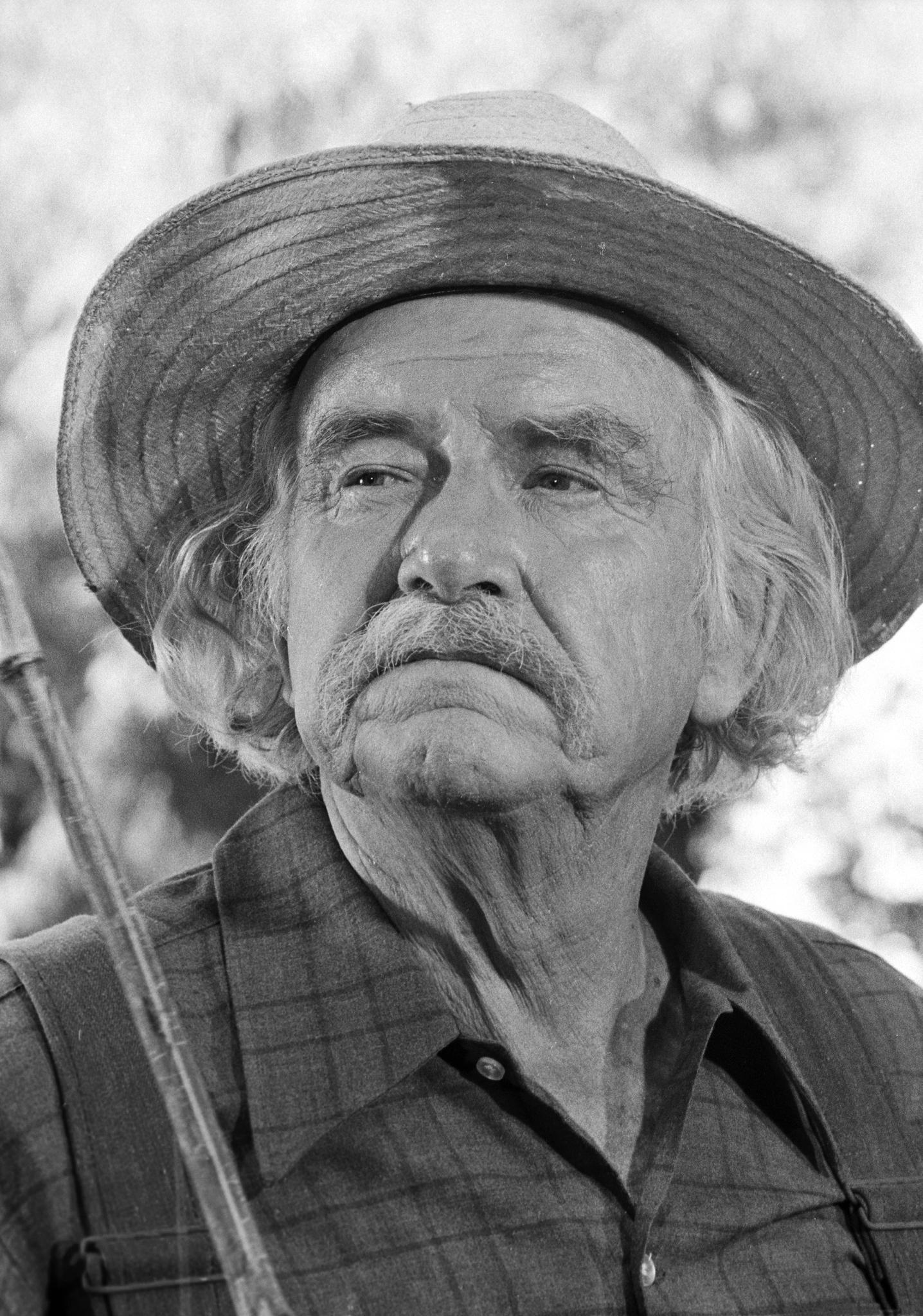 Will Geer image