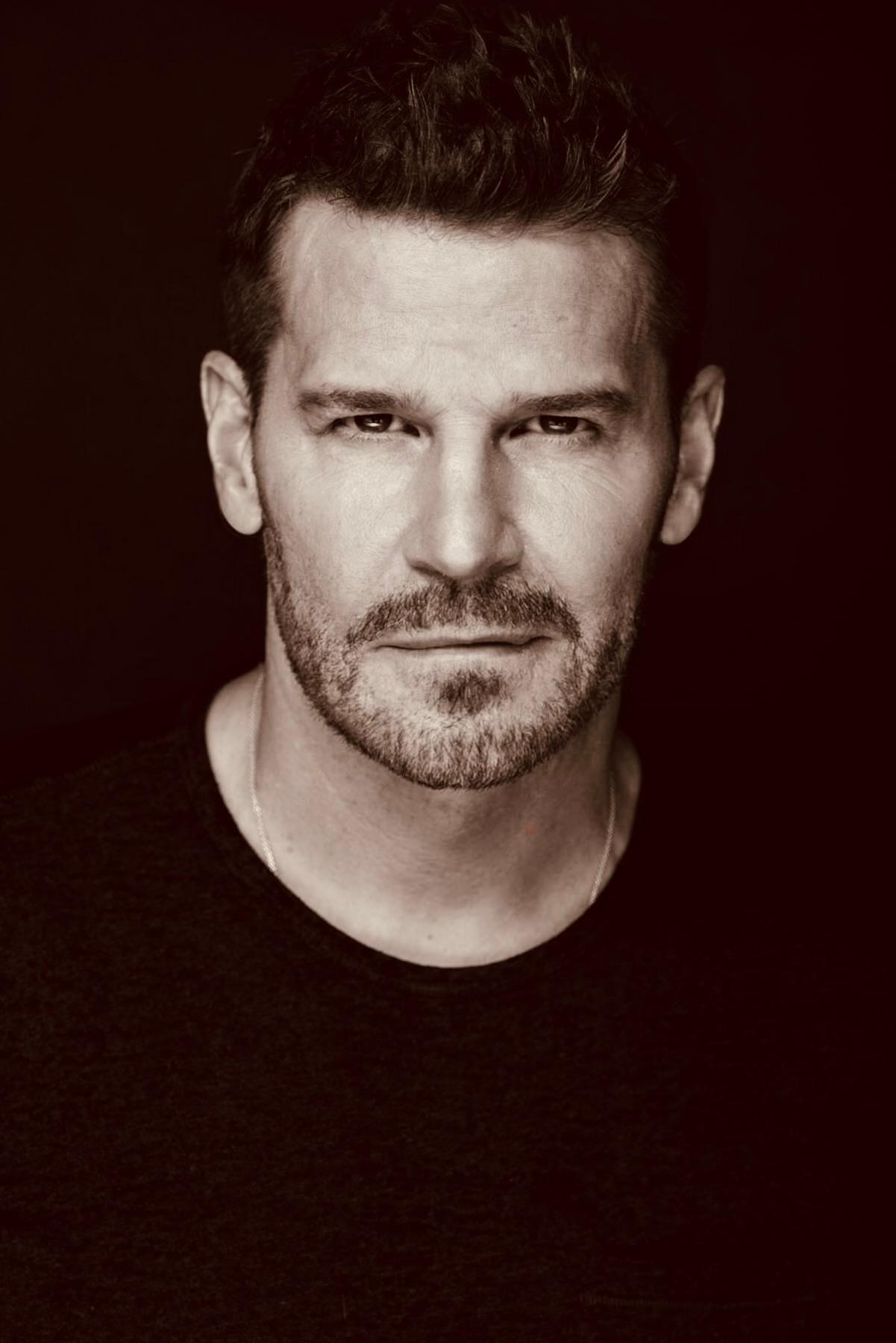 David Boreanaz image