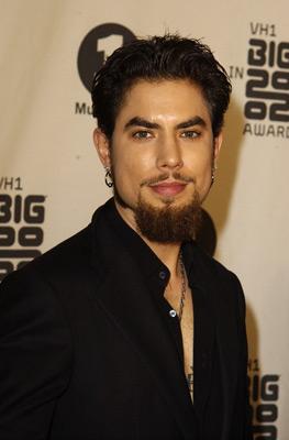 Dave Navarro image