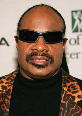 Stevie Wonder image